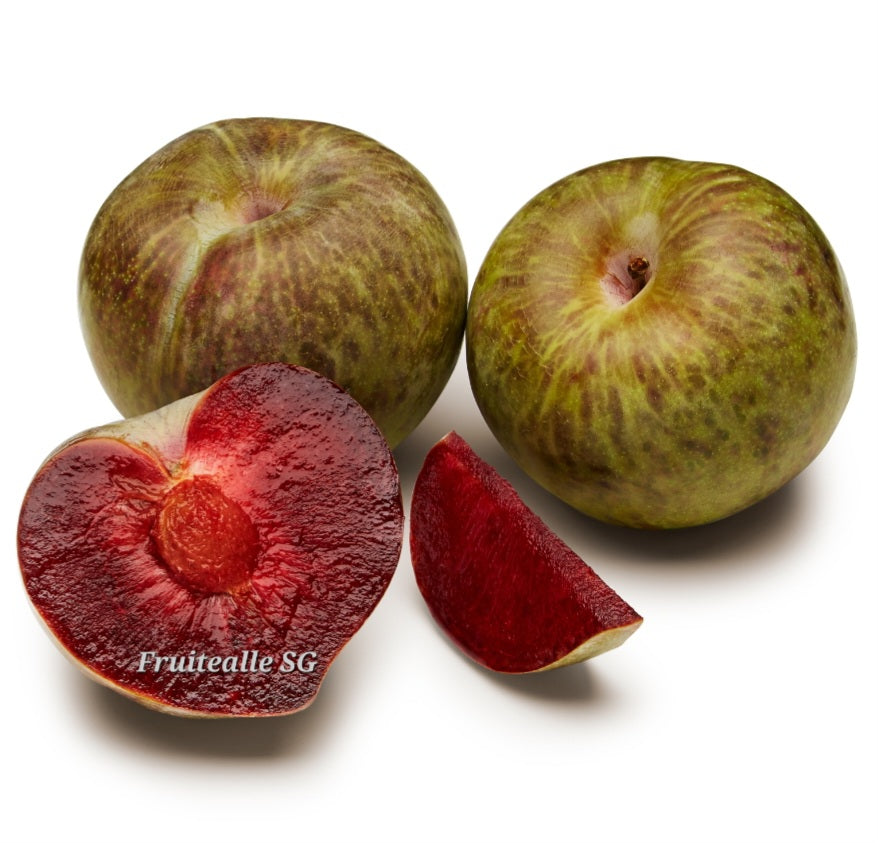 Plum - USA Flavor Gato™ | Family Tree Orchards