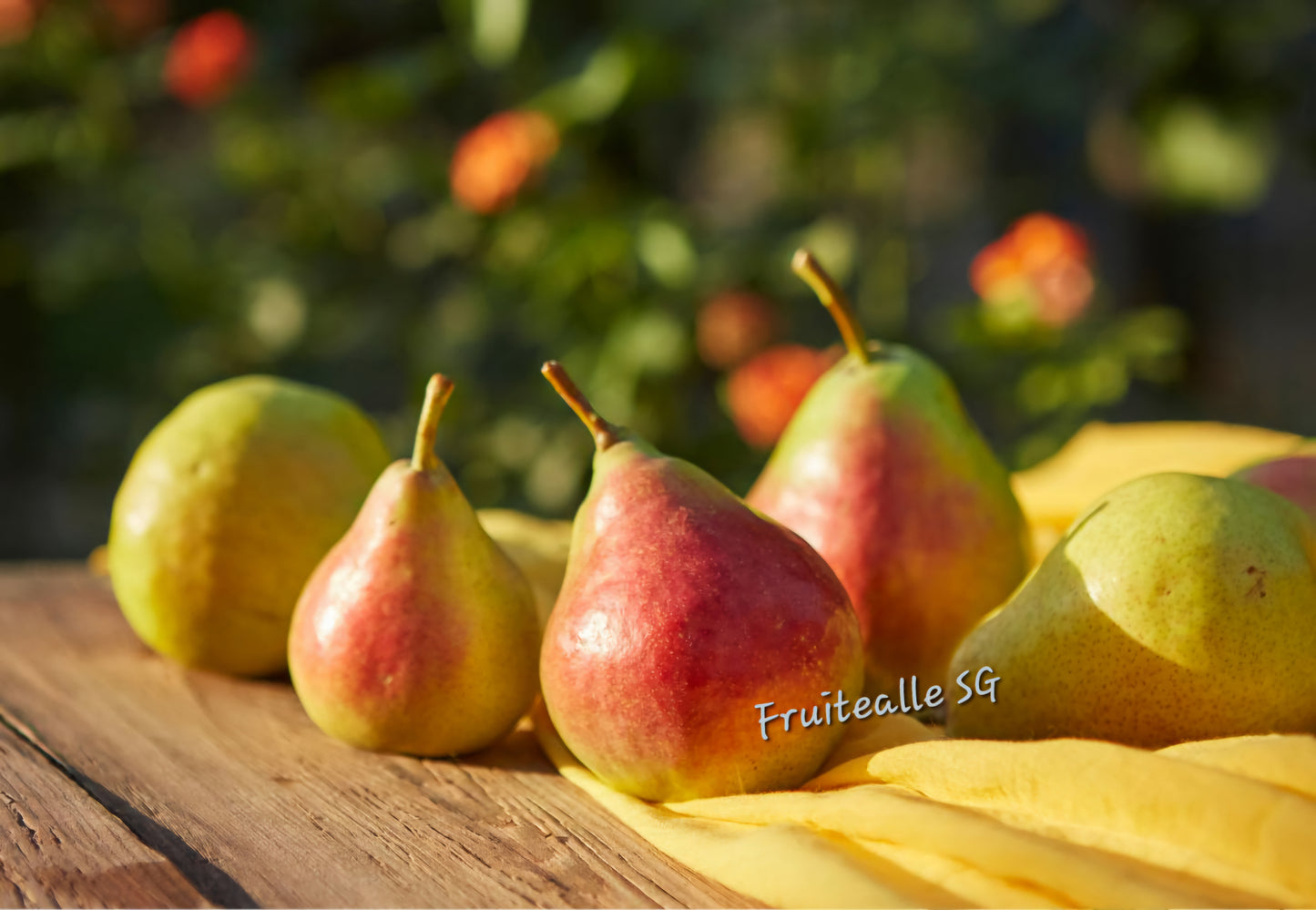 Pear - Forelle Blush Pear | South Africa