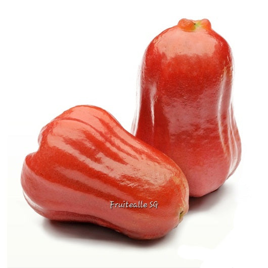 Jambu - Rose Apple Thailand Jambu | 水蓊、莲雾
