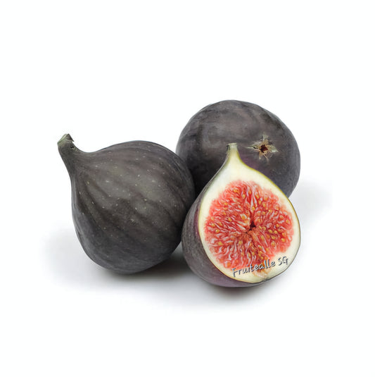 Figs - Fresh Figs 无花果 [Large]