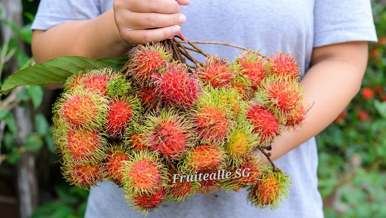 Rambutan - Sweet Rambutan | 红毛丹