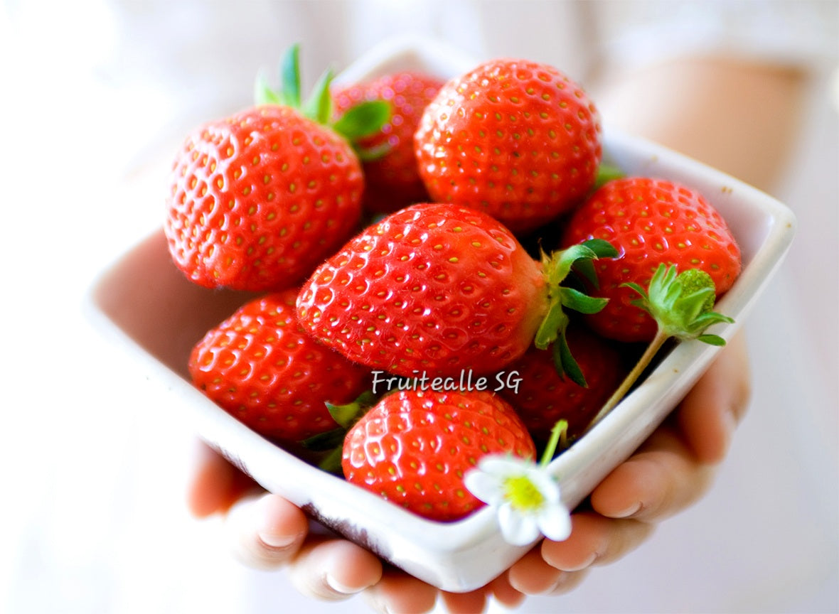 Strawberry - Korea Premium Sweet Strawberries 330gm 한국 딸기