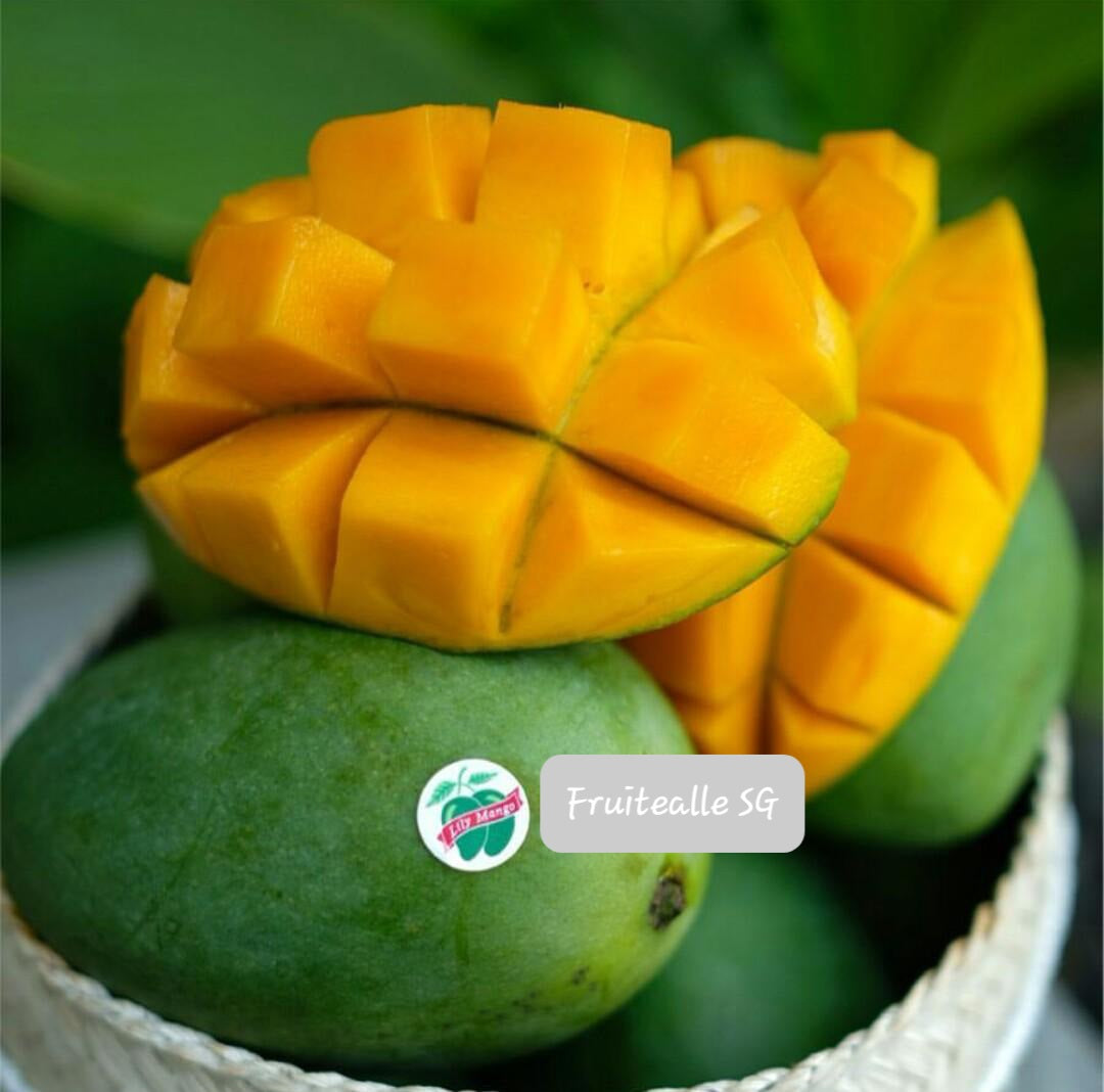 Mango - Lily Avocado Mango