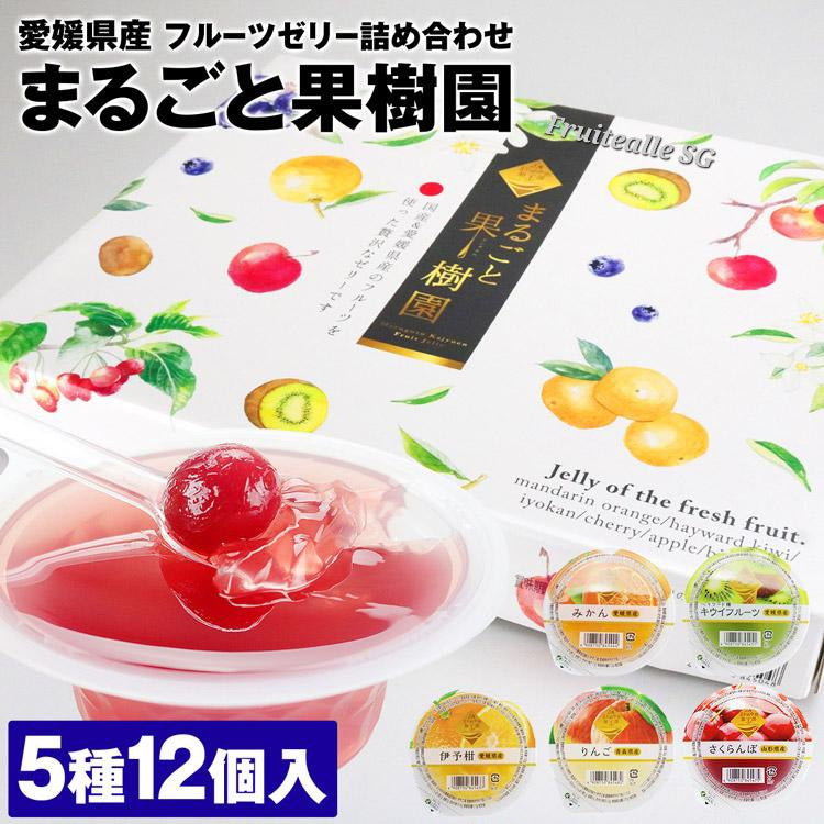 Japan Jelly - [Marugoto Kajyuen] Fruit Jelly GiftBox