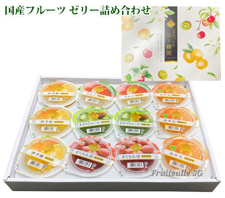 Japan Jelly - [Marugoto Kajyuen] Fruit Jelly GiftBox