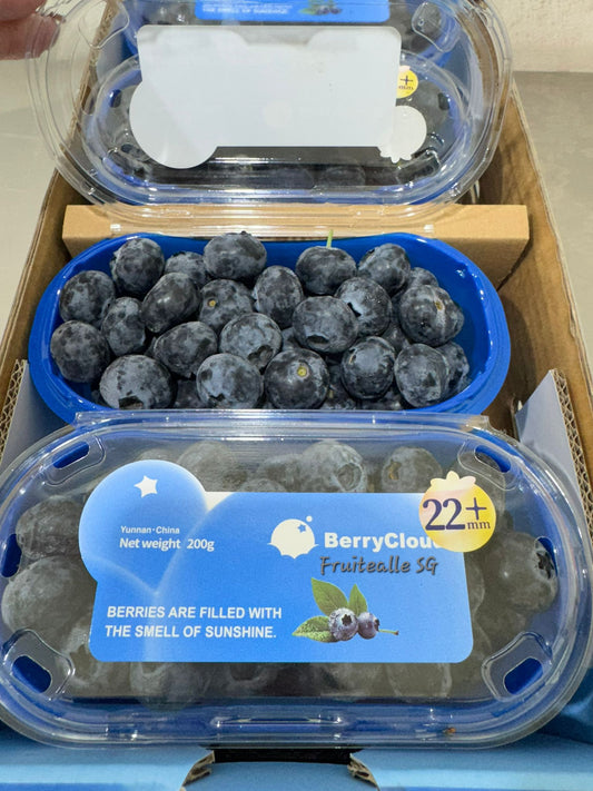 Blueberry - Jumbo [22mm+] Blueberries 200gm | BerryCloud