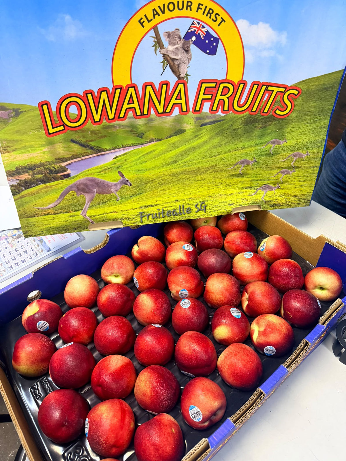 Stone Fruit - Australia White Nectarines | Lowana | Regular Size