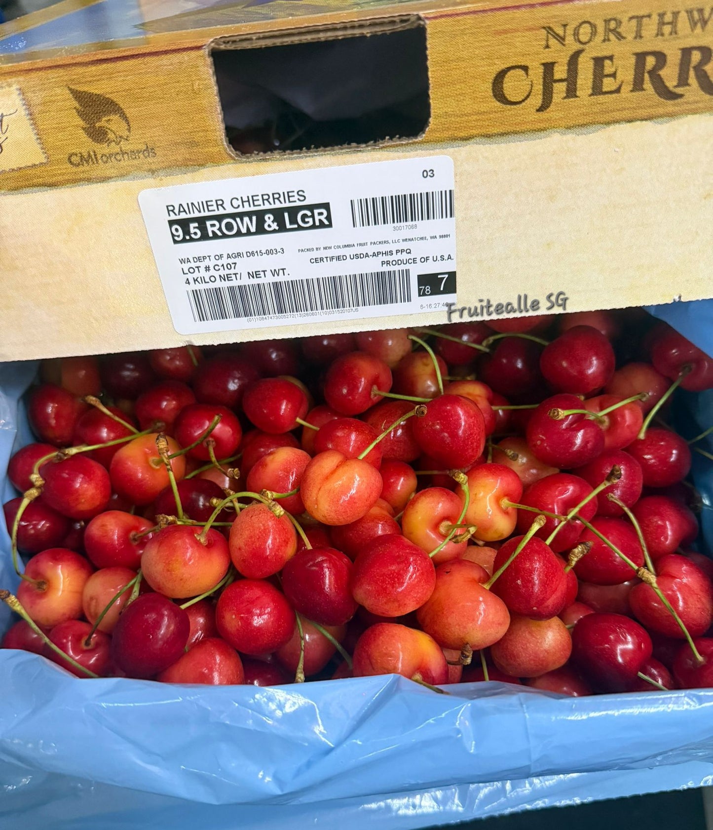 Cherry - USA Rainier White Cherries | CMI Orchard【28mm - 30mm】Regular Size 9.5R
