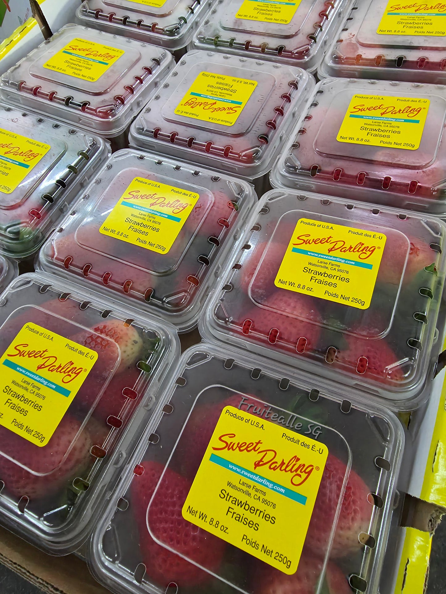 Strawberry - USA Fresh Strawberries | 250gm