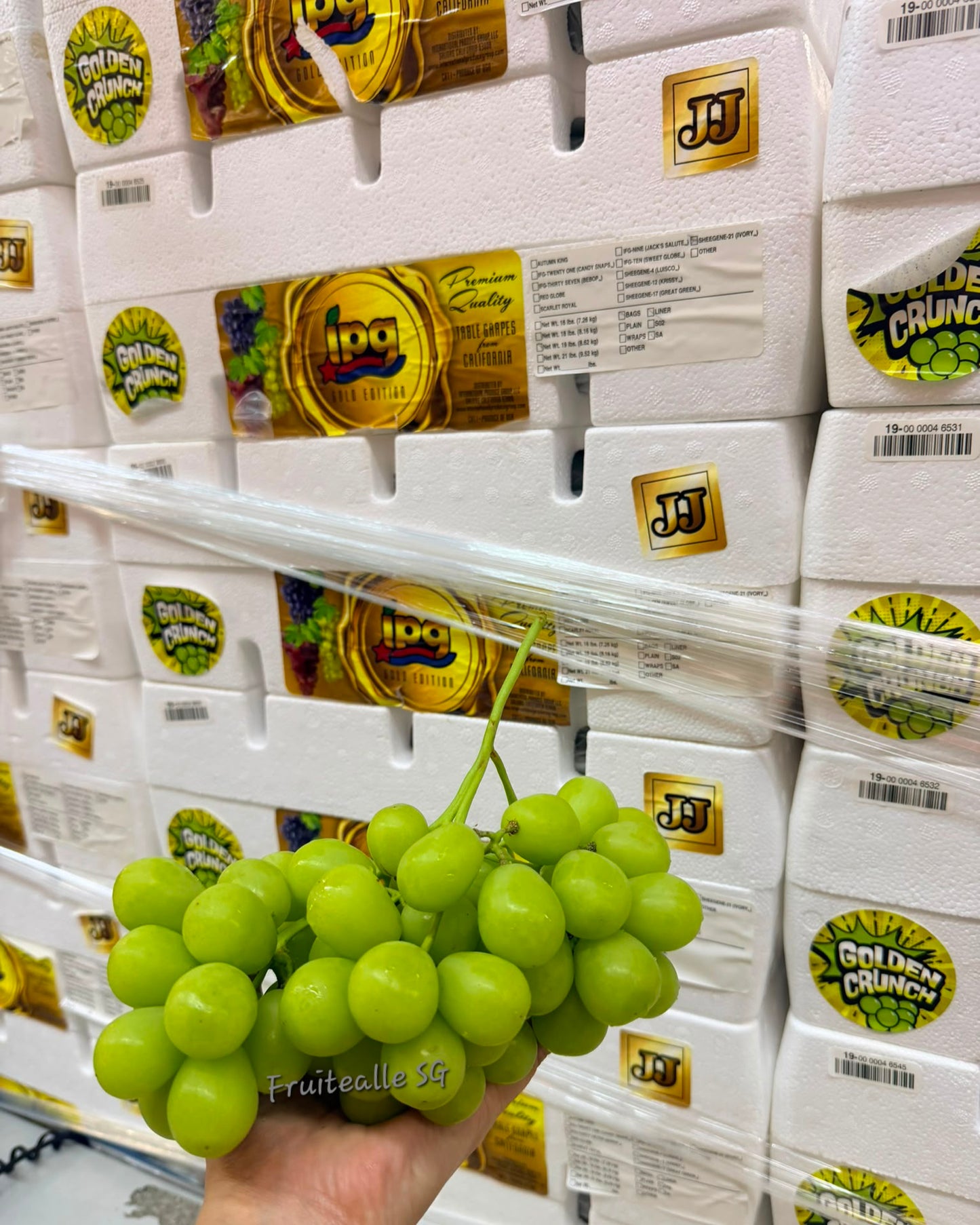 Grapes - Green Seedless [Golden Crunch®] | by iPG USA