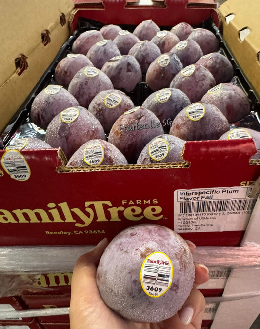 Plum - USA Flavor Fall Interspecific™ Plum | Family Tree Orchards