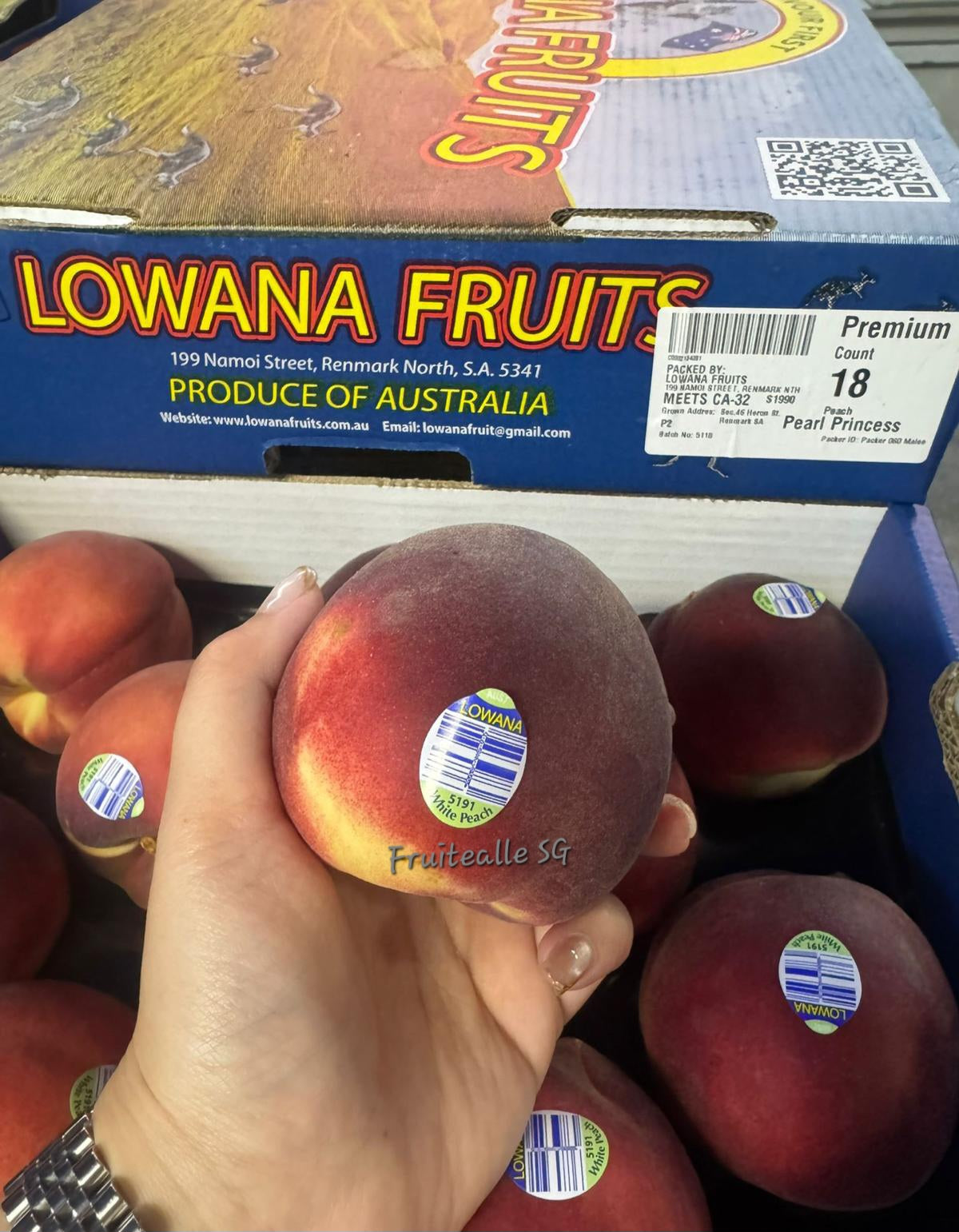 Stone Fruit - Australia White Peaches | Lowana