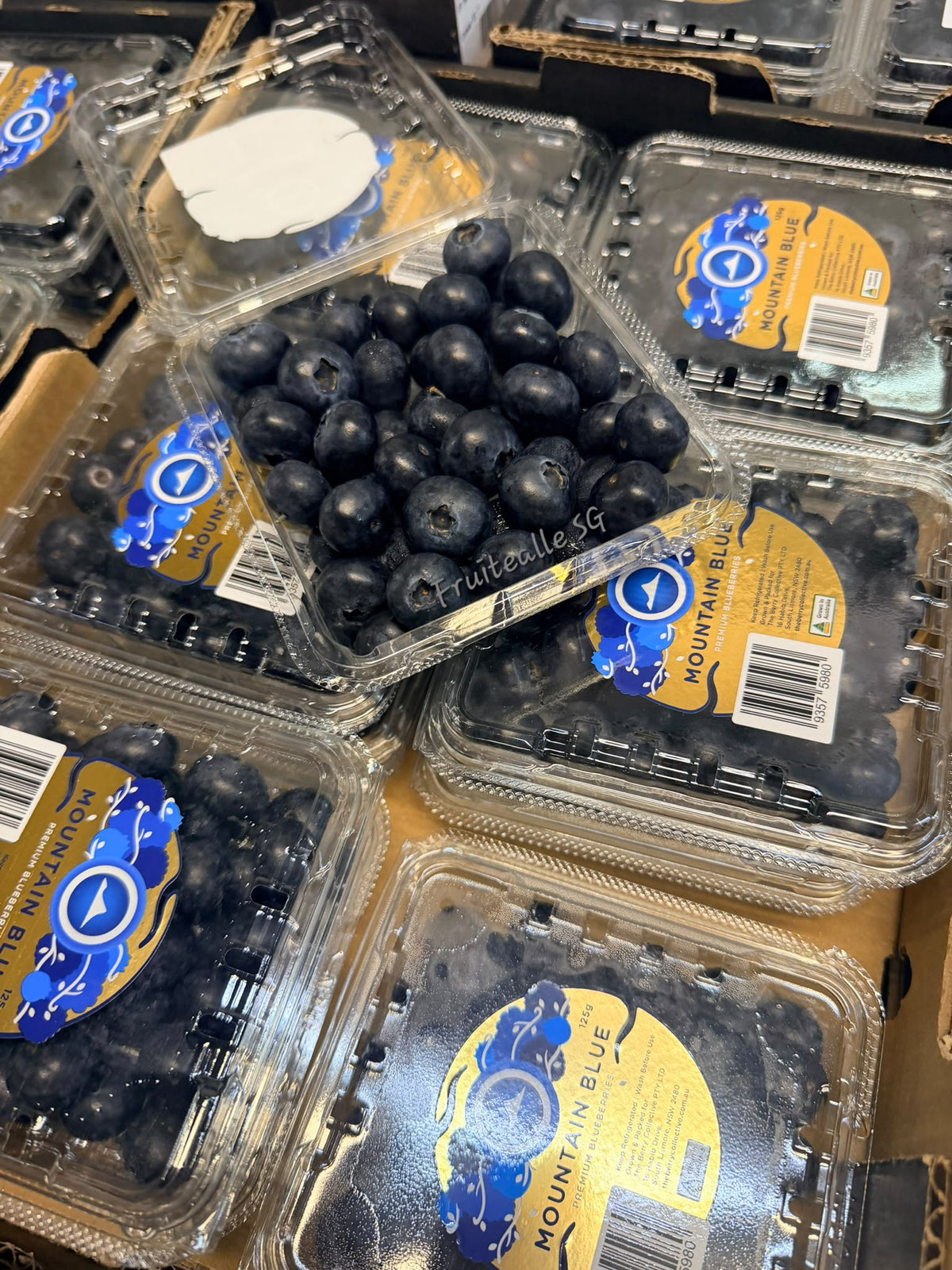 Blueberry  - Blueberry 125gm [Mountain Blue] | Australia Blueberries