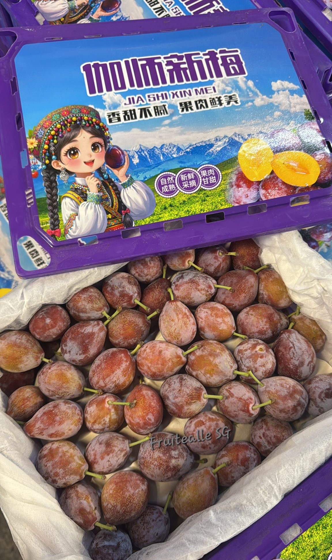 Prune - Sweet Sugar Prunes