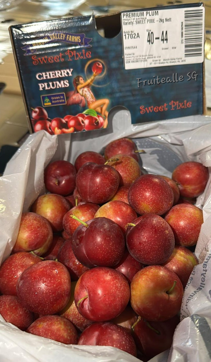 Plum - Sweet Pixie® Cherry Plums [2Kg GiftBox] from Australia | Wandin Valley