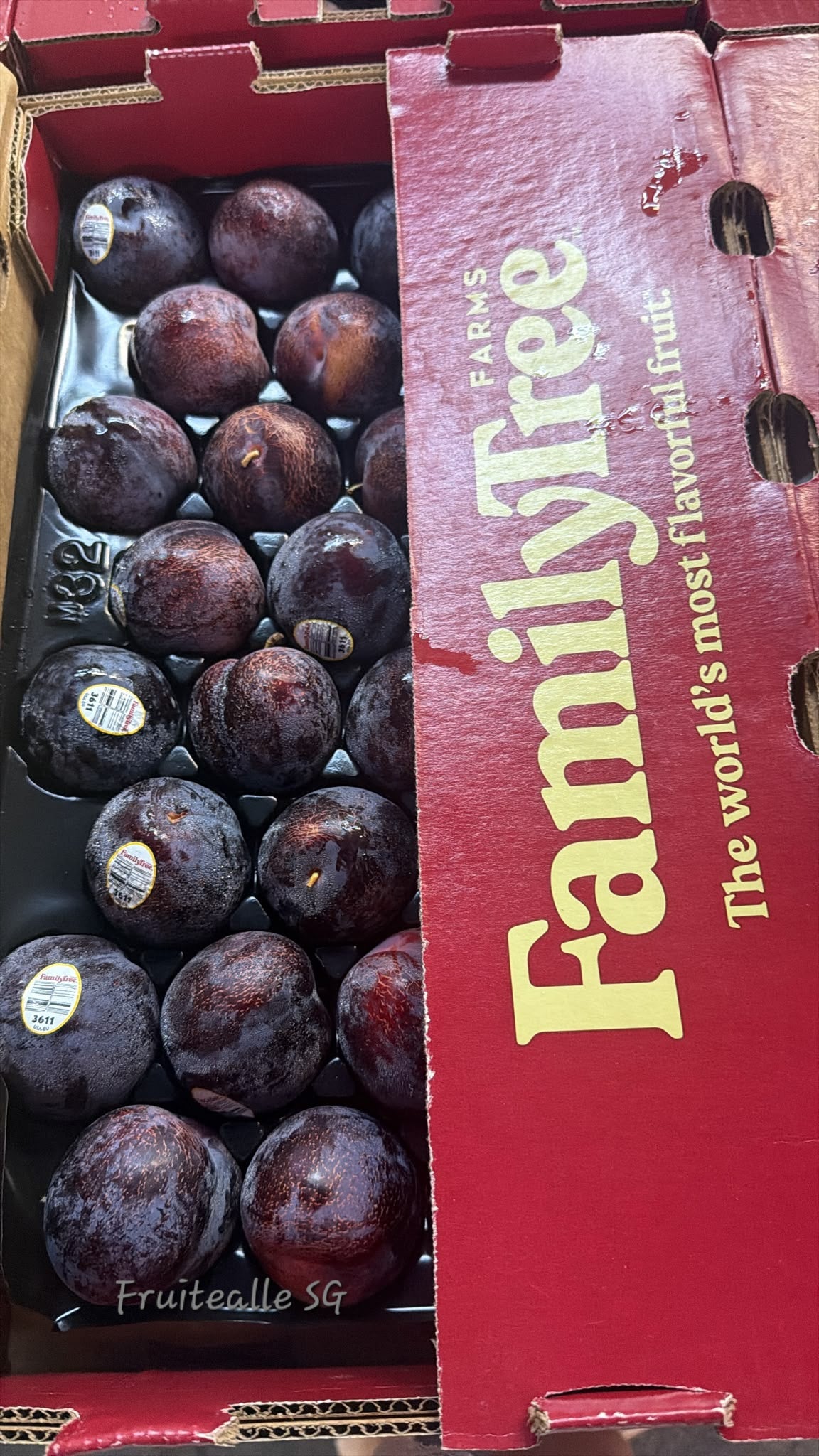 Plum - USA King Kong™ Plumcot | Family Tree Orchards