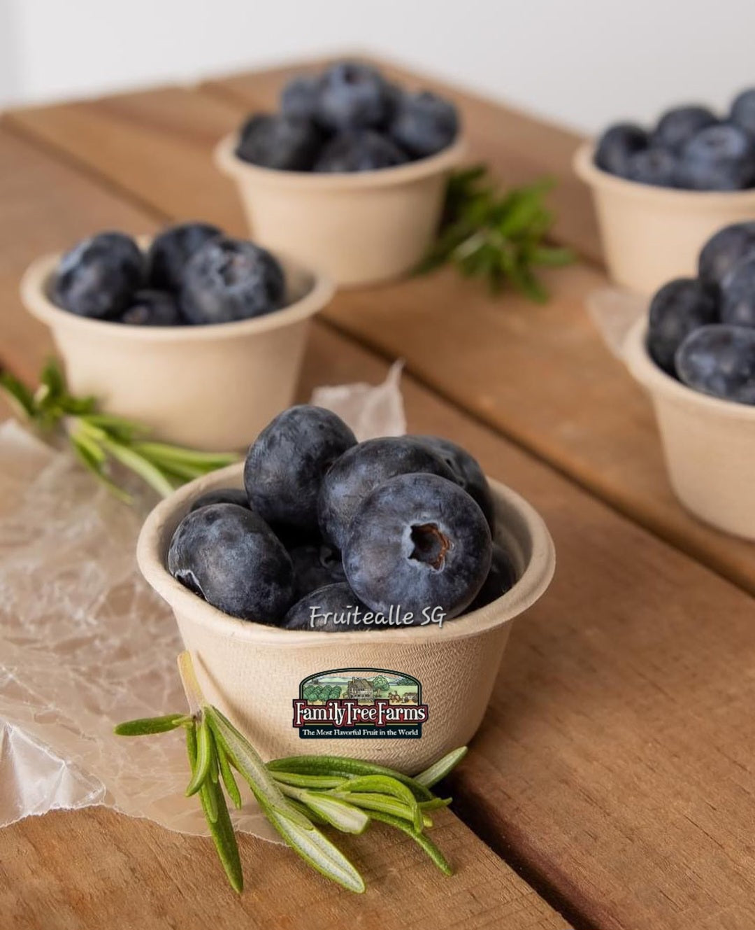 Blueberry  - Super Jumboz Blueberry 125gm [FamilyTree Farm] | Peru Blueberries