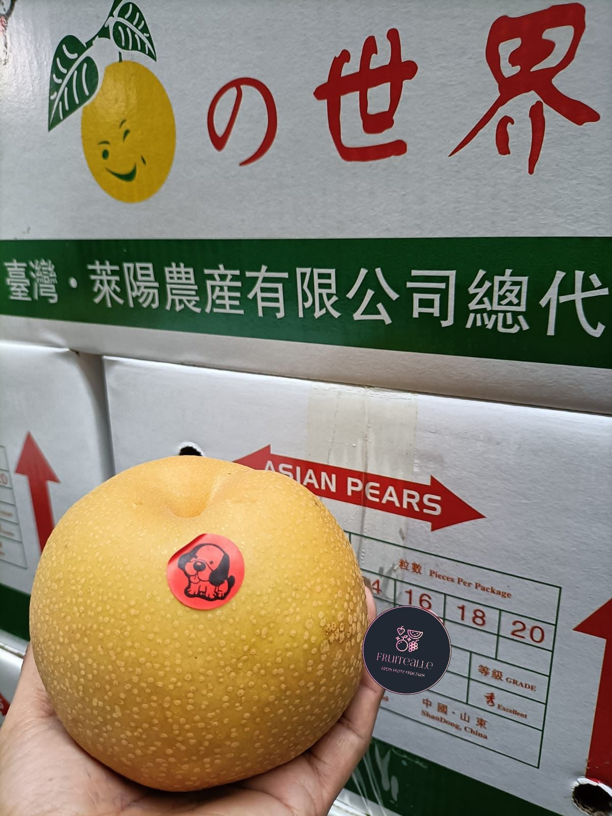 Pear - Asian Honey Pear 蜂蜜梨 | Korea Variety | Regular Size