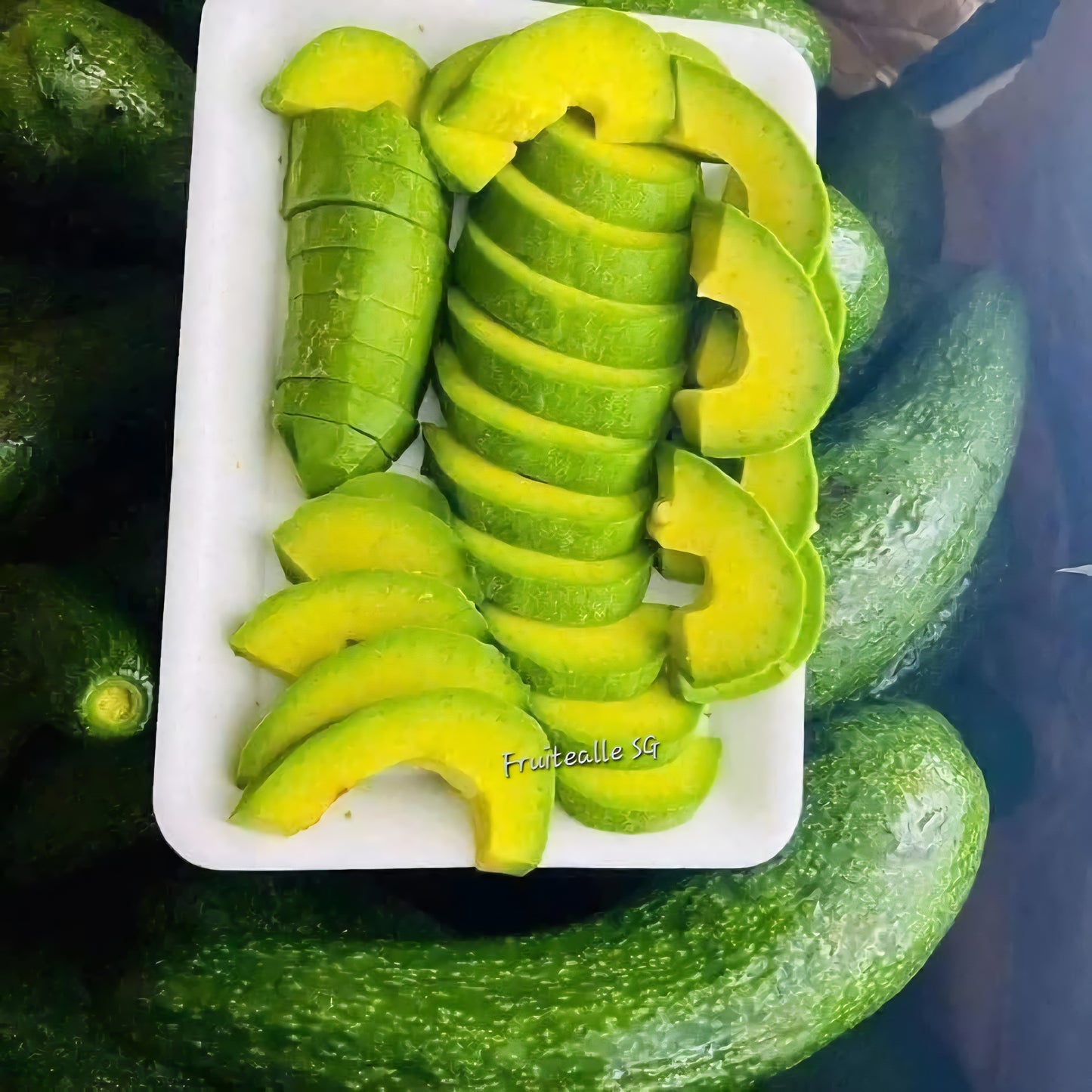 Avocado - Russell Long Neck Avocado