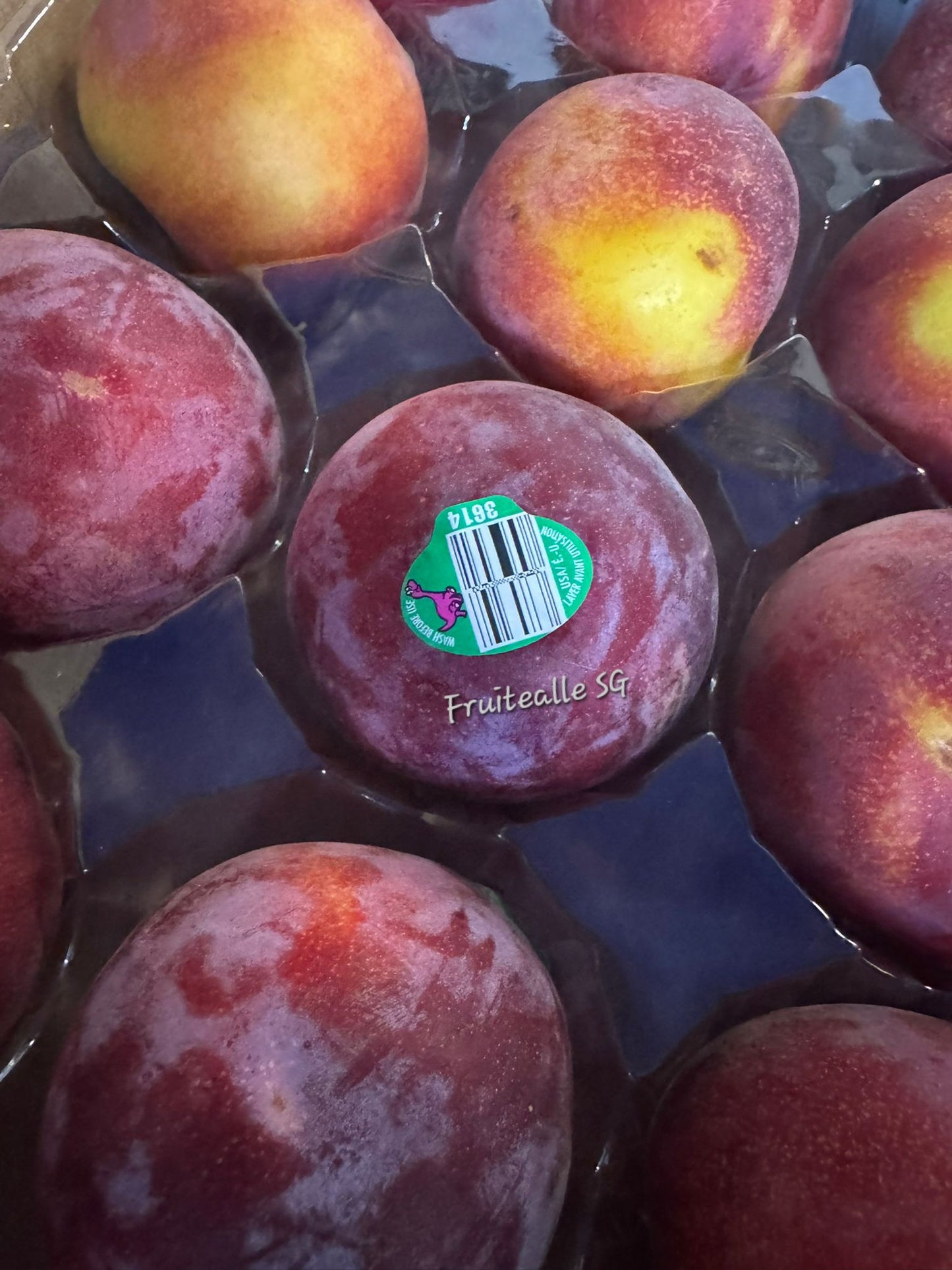Plum - USA Crimson Velvet™ Plumcot | Dino Orchards