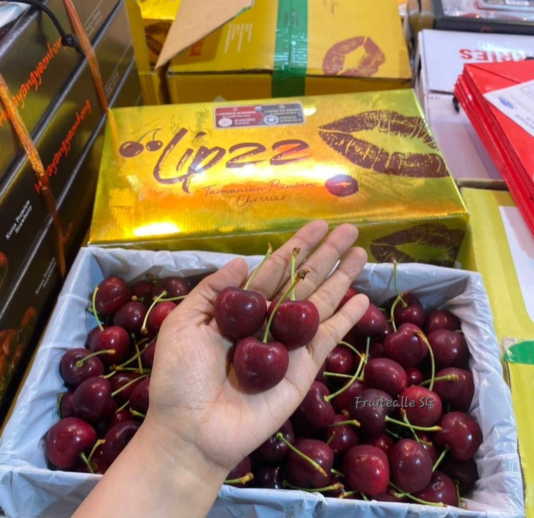 Cherry Tasmania Red Cherries | Lip22【32mm - 34mm】Large Size **2kg GiftBox Available