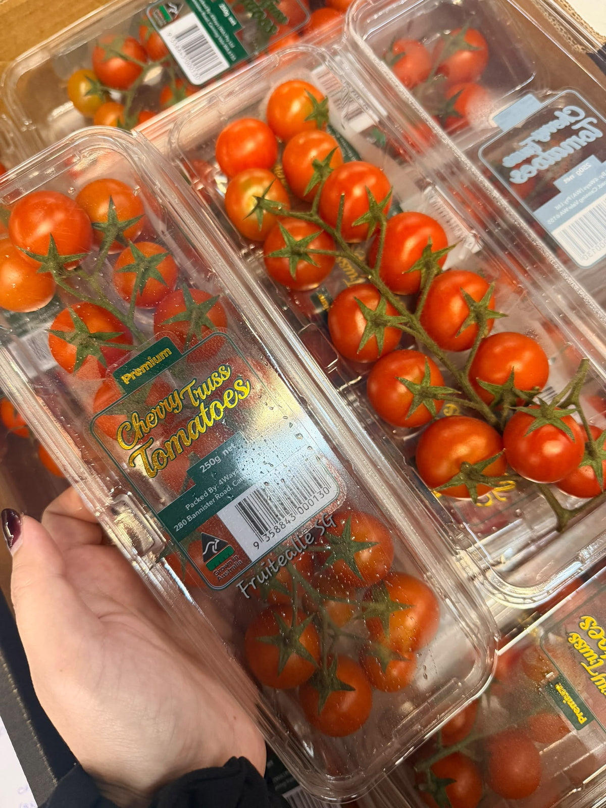 Tomato - Cherry Tomato on Vine | From Australia