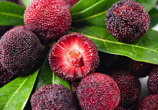 Yang Mei 杨梅 Arbutus Berry | 350gm