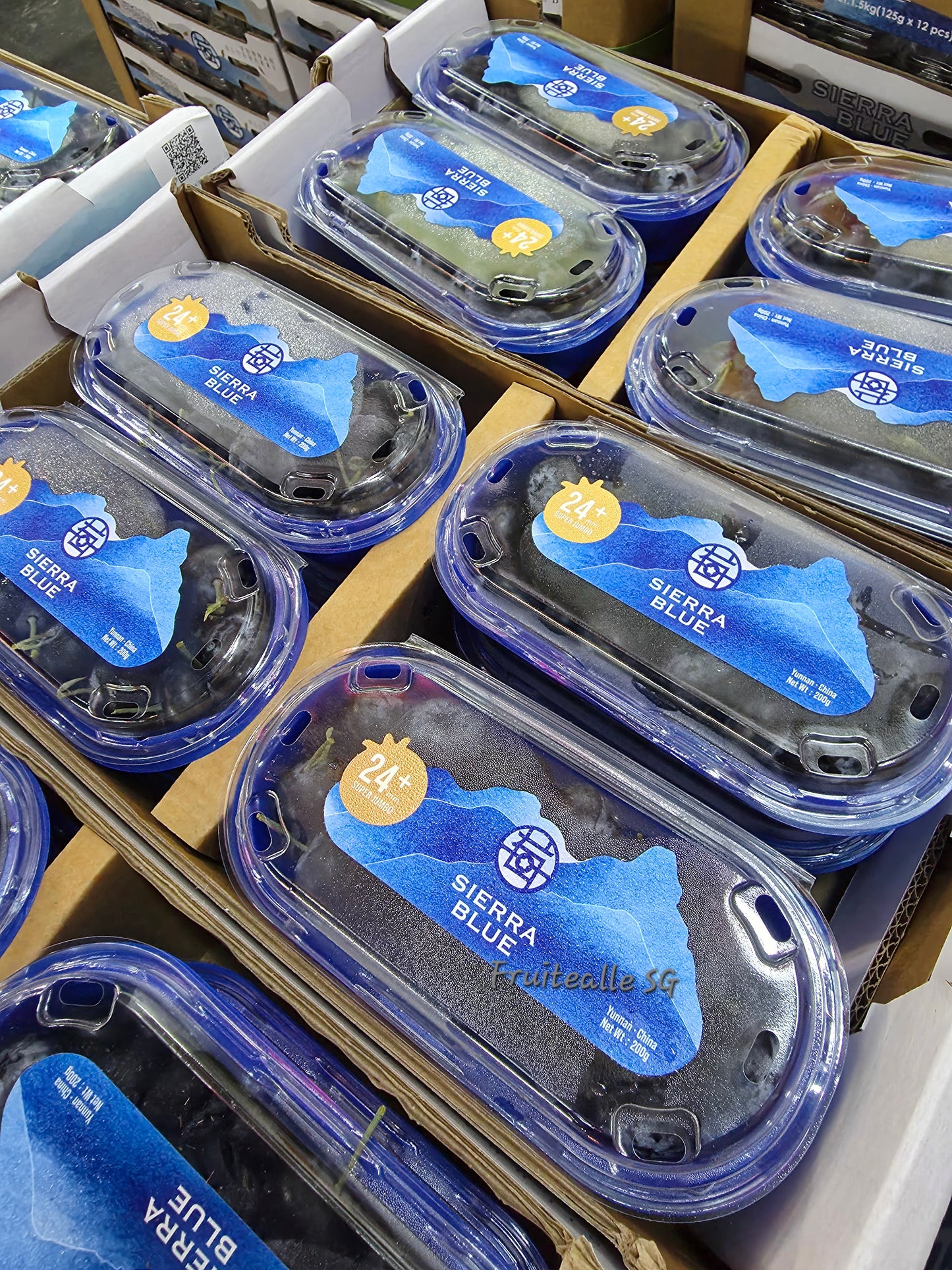 Blueberry - Super Jumbo [SieraaBlue] Blueberries 200gm [24+ Size]