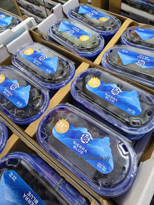 Blueberry - Super Jumbo [SieraaBlue] Blueberries 200gm [24+ Size]