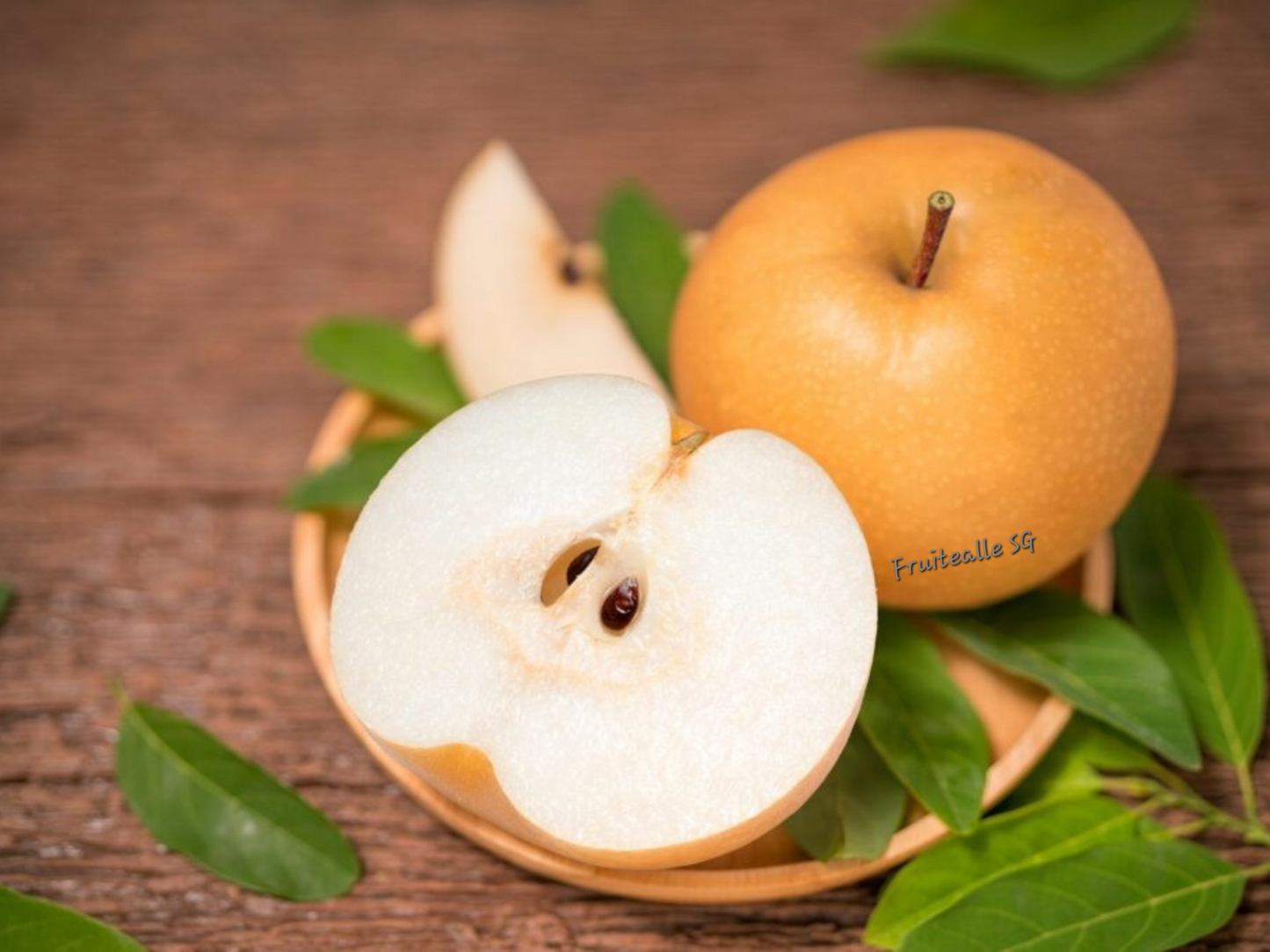 Pear - Young Wha Asian Brown Pear 젊은 화 | Large Size