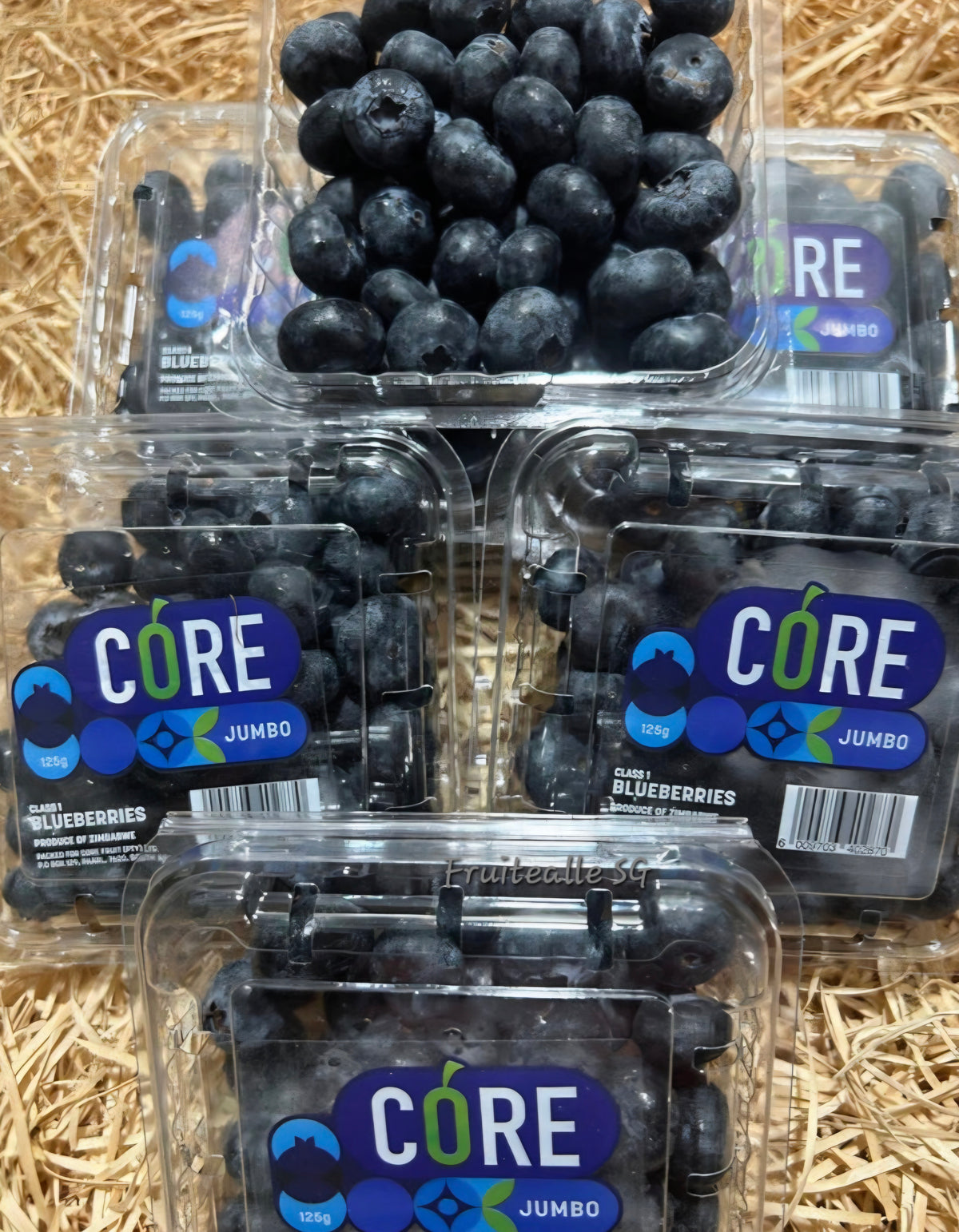 Blueberry - Jumbo [18mm+] Blueberries 125gm | CORE Farm