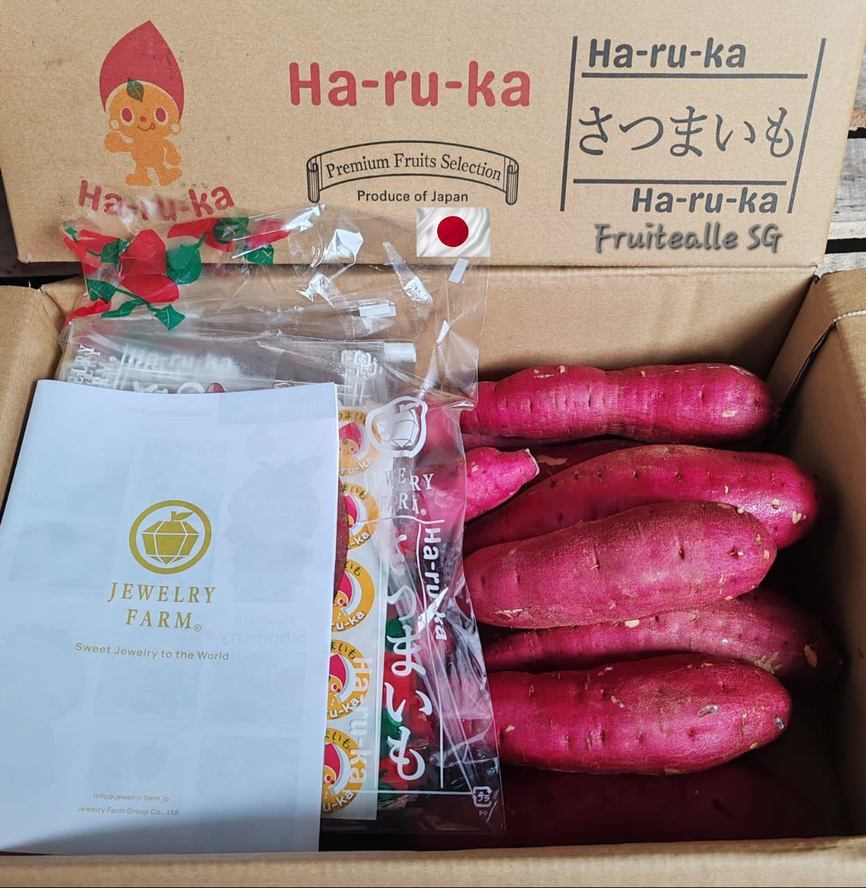 Japan Sweet Potato | Beni Haruka 新甘藷芋