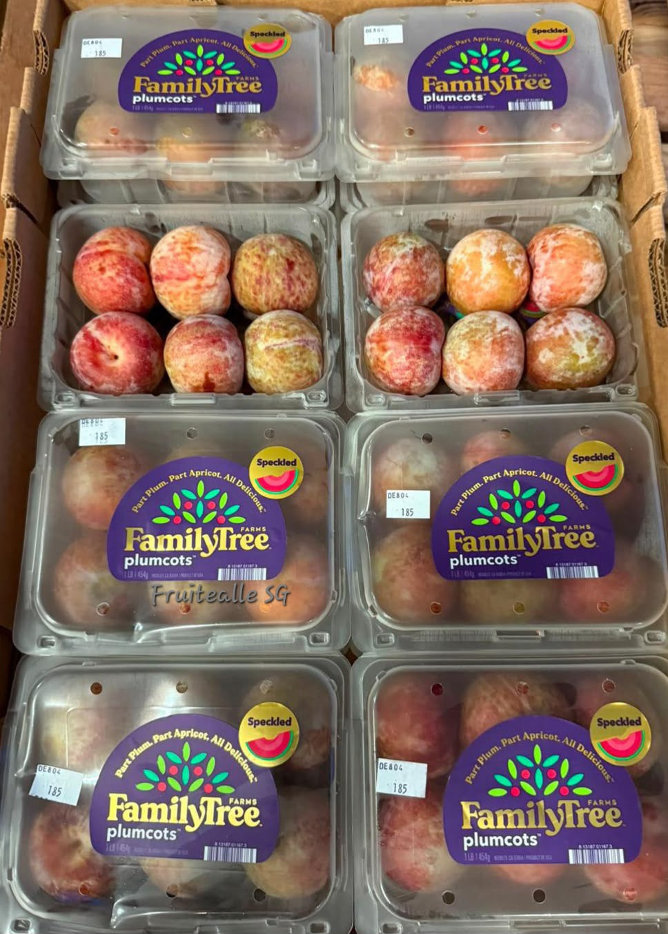Plum - USA Flavor Gato™ | Family Tree Orchards