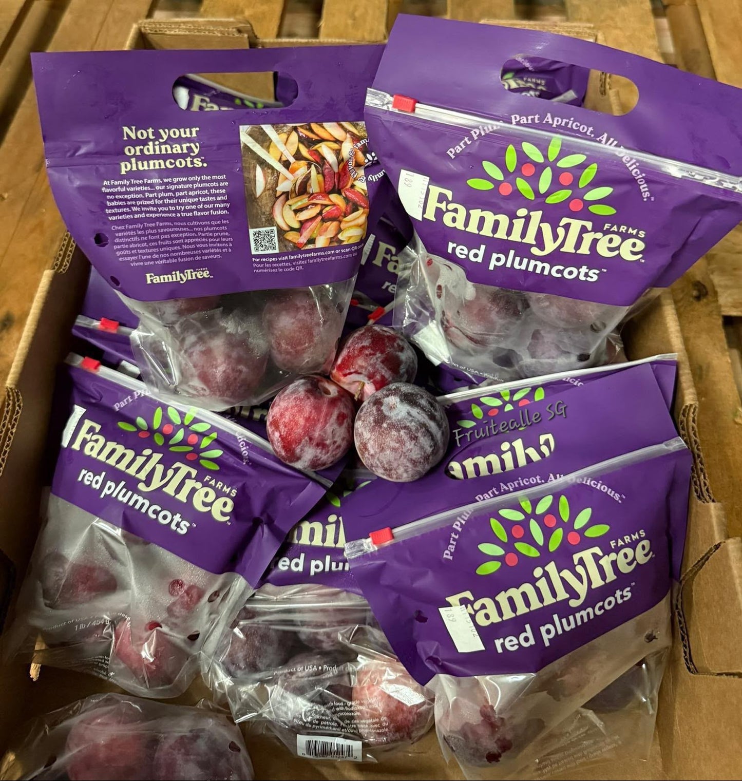 Plum - Red Summer Punch | FamilyTree USA