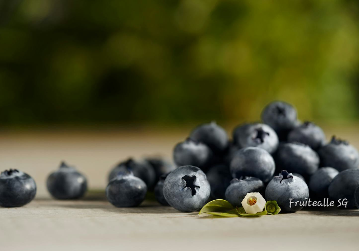 Blueberry - Jumbo [Driscoll's] Blueberries 125gm | Driscoll's Peru