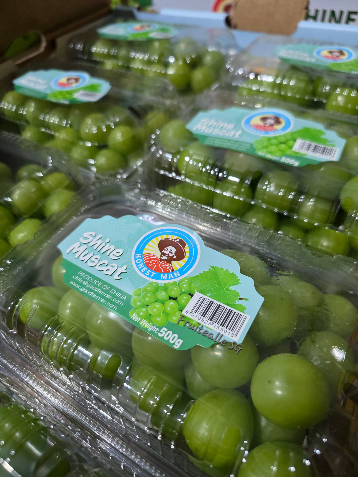 Grapes - Prestige Shine Muscat | 500gm