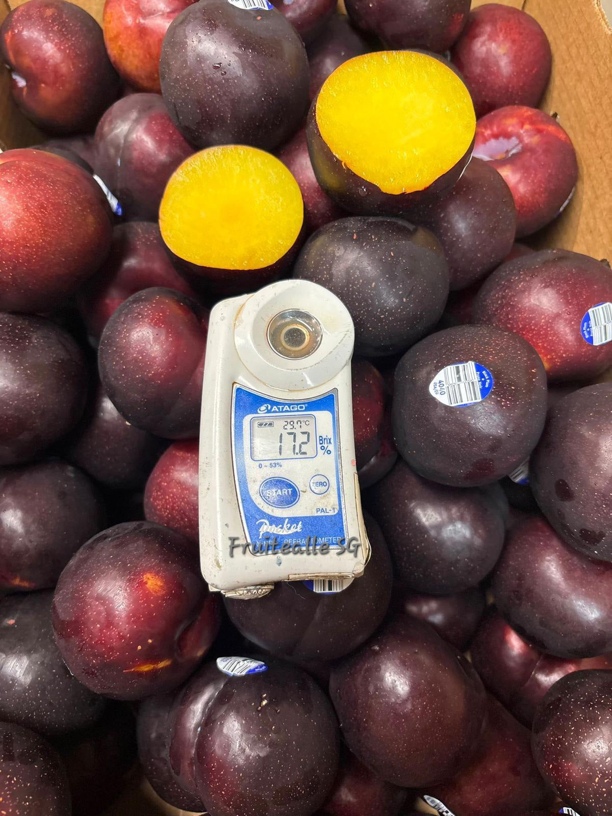 Plums - USA Black Plums