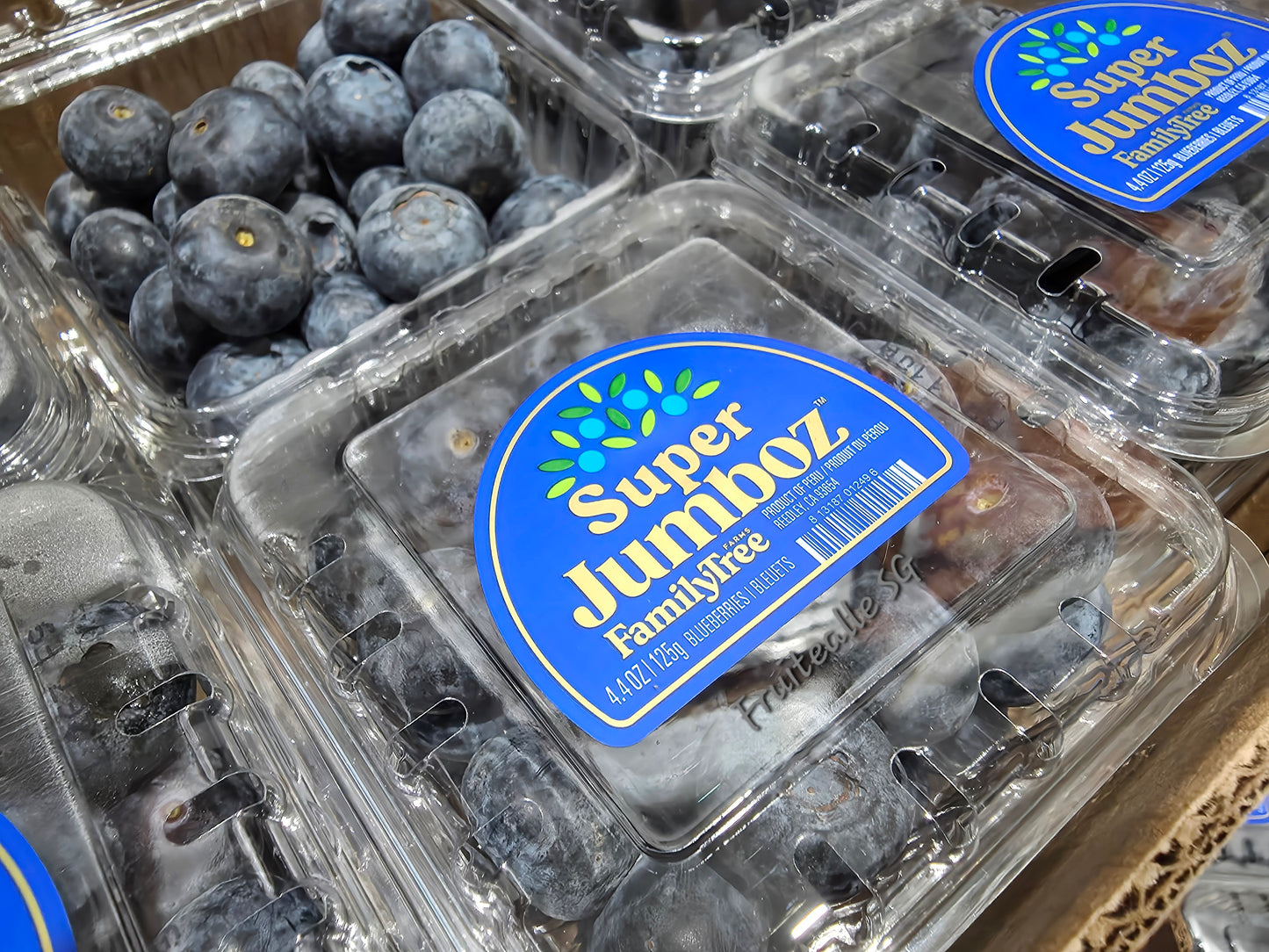 Blueberry  - Super Jumboz Blueberry 125gm [FamilyTree Farm] | Peru Blueberries