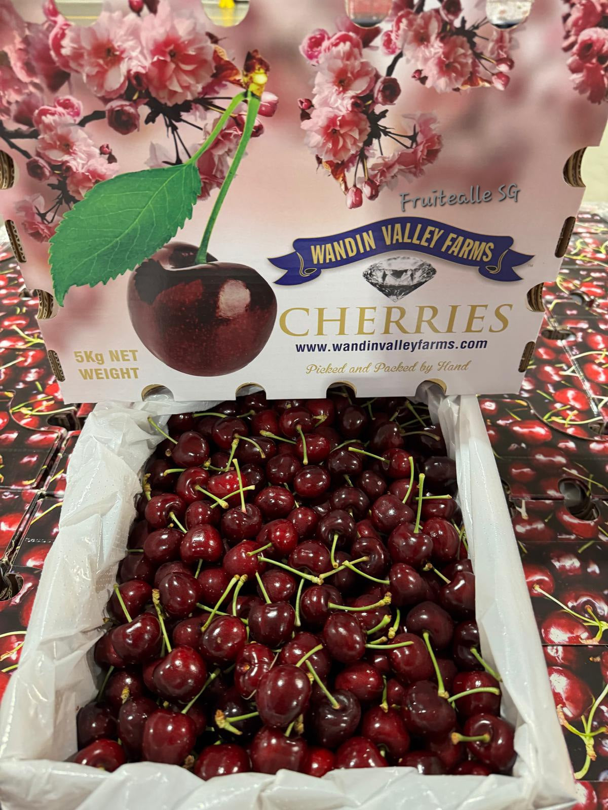 Cherry - Australia Red Cherries | Wandin Valley | Medium Large 30/32mm