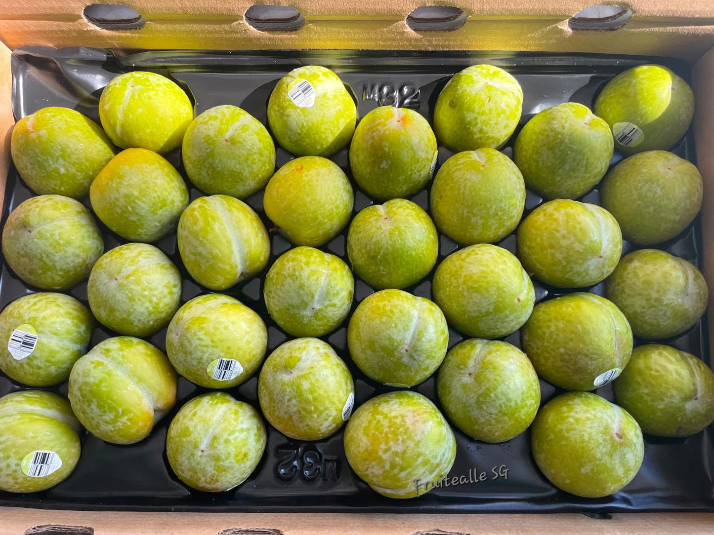 Plum - October Sun Sweet Plums | USA