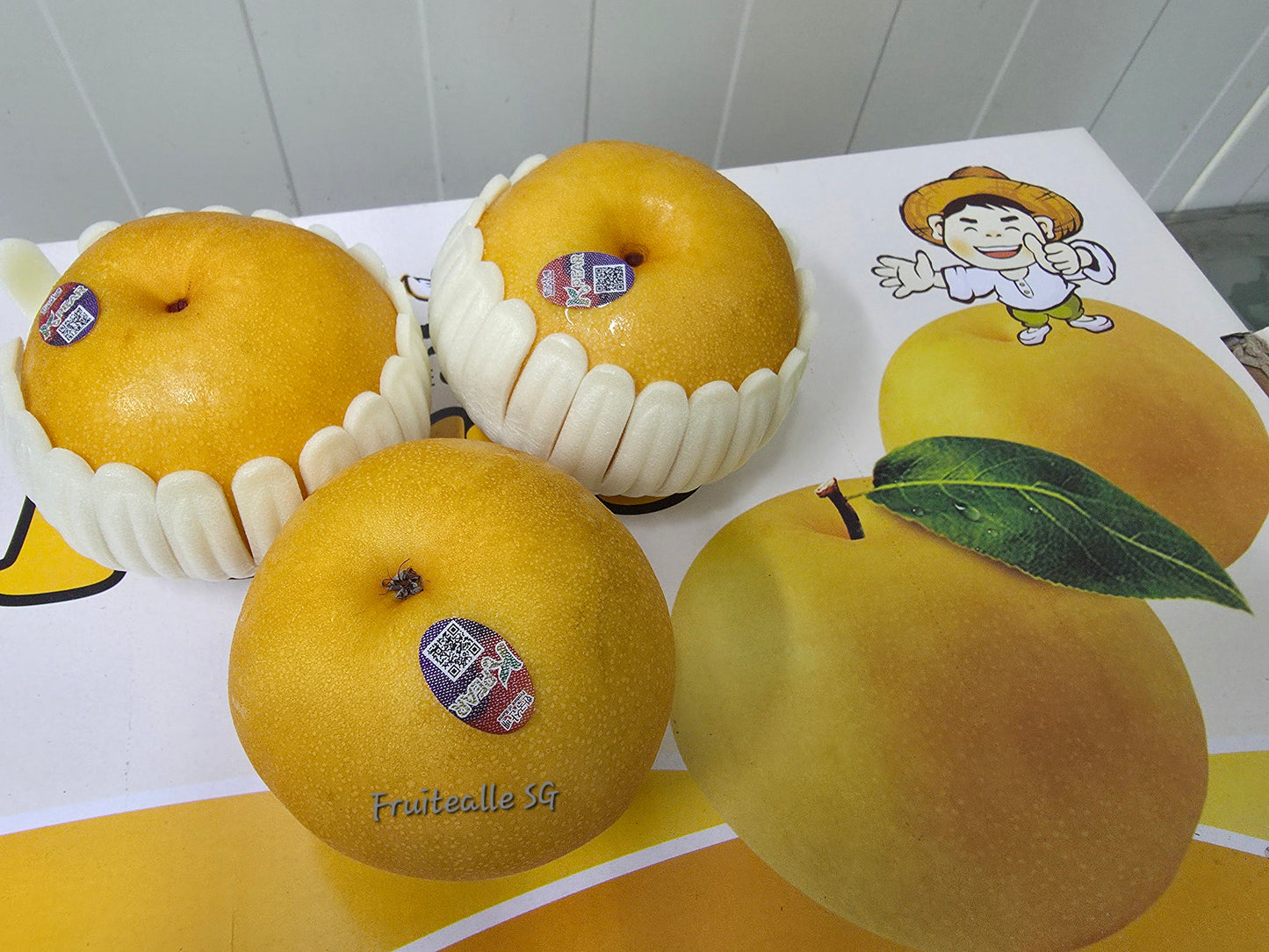 Pear - Korea Juicy Won Huang Pear | 한국 배
