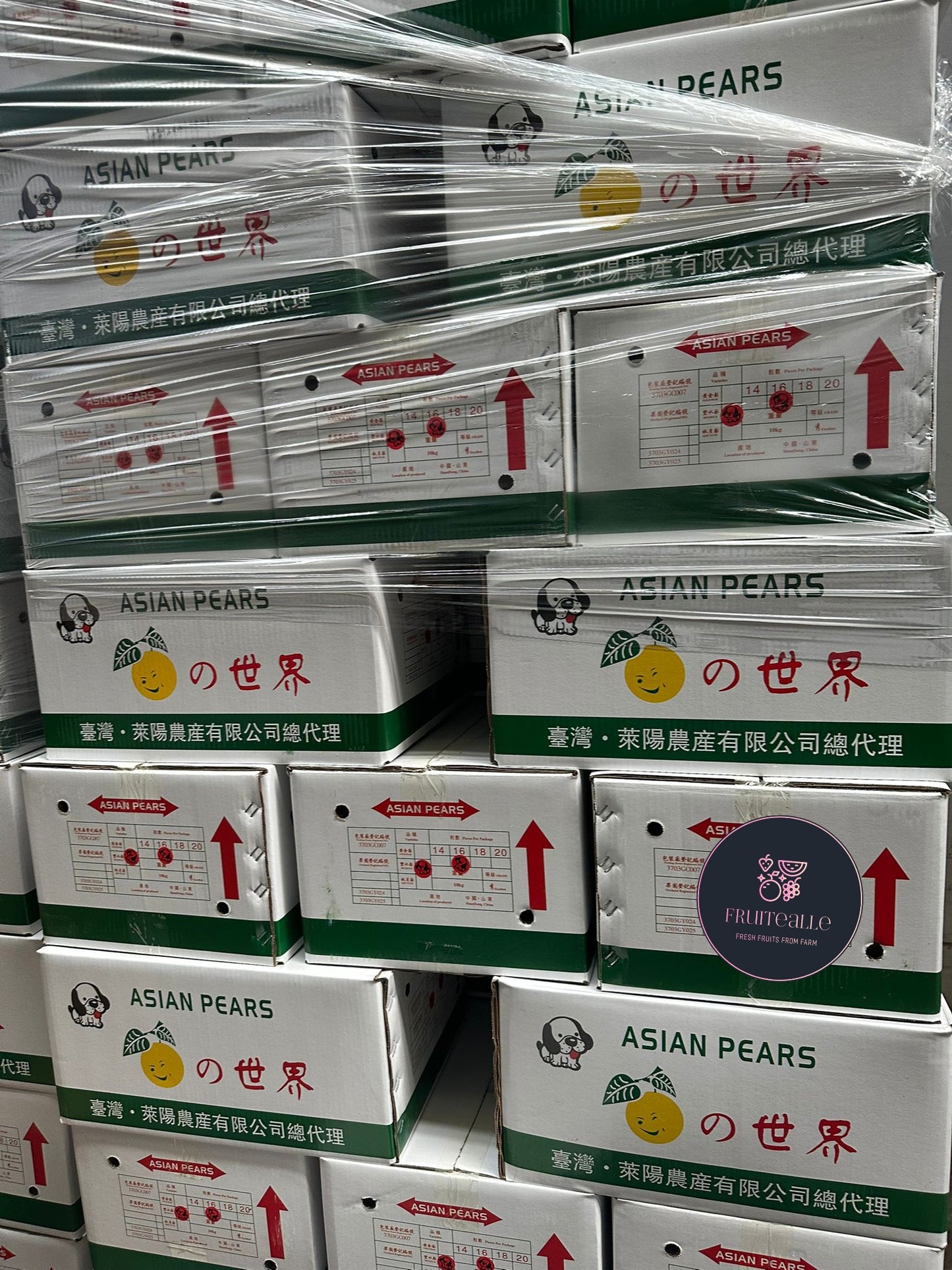 Pear - Asian Honey Pear 蜂蜜梨 | Korea Variety | Regular Size