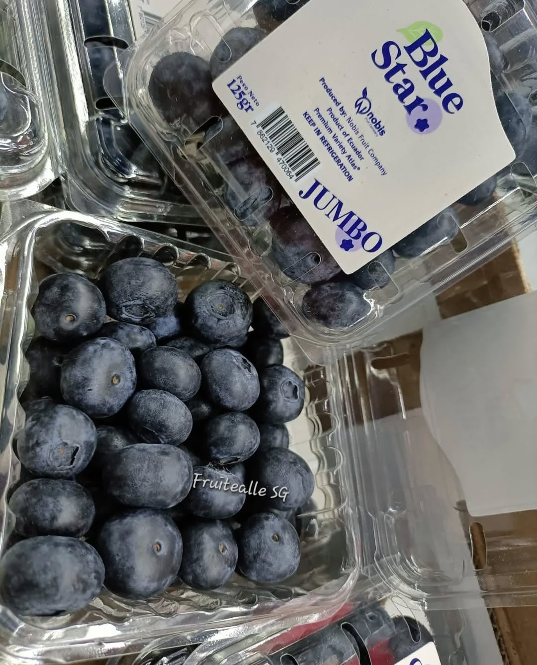 Blueberry - Jumbo Sweet Blueberries [BlueStar] | Ecuador | 125gm