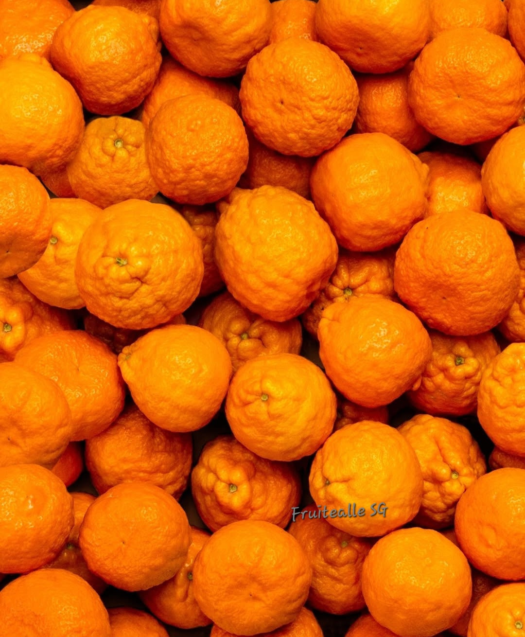 Oranges - Summerina Seedless Mandarins | Australia