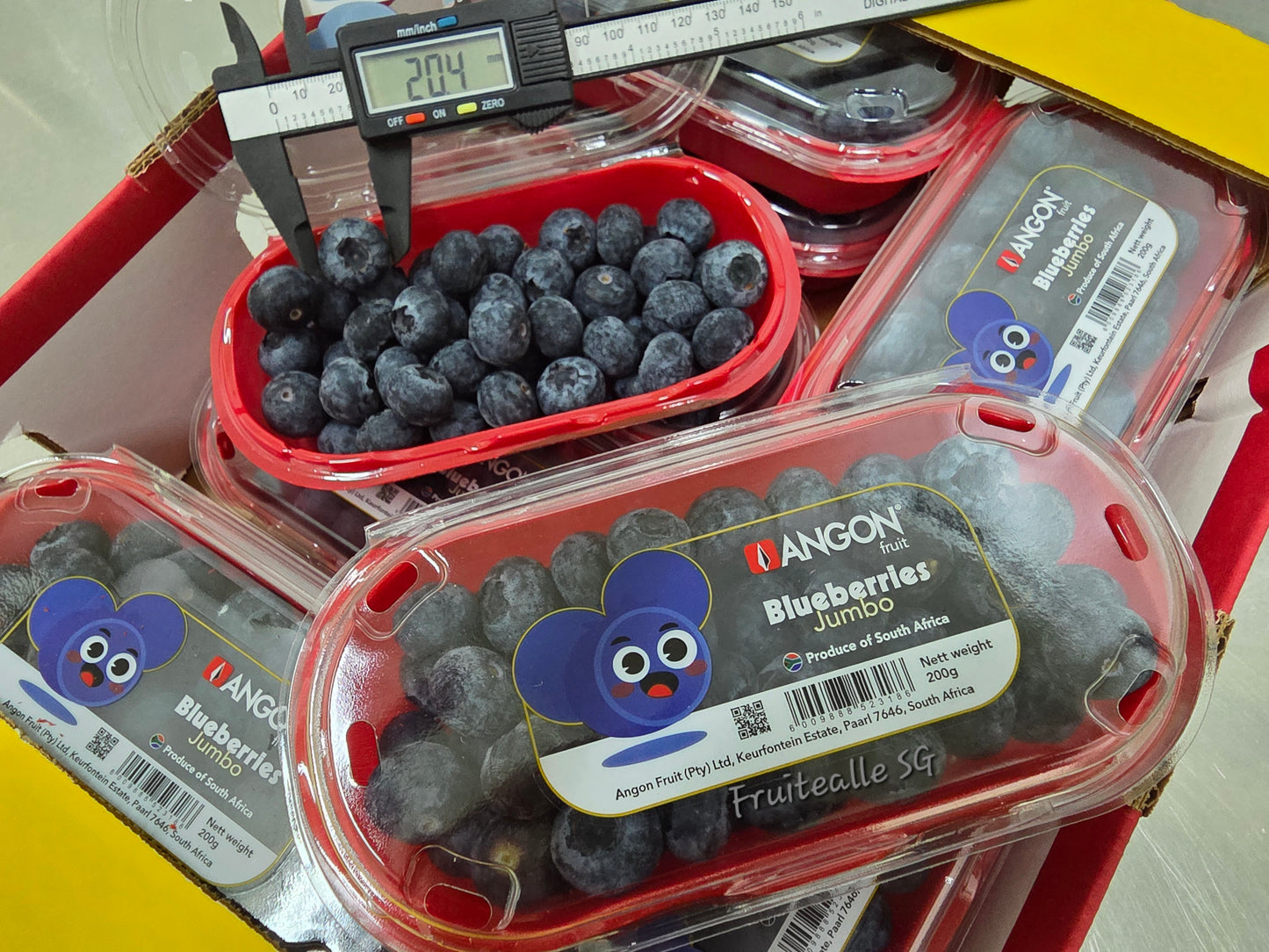 Blueberry  - Jumbo Sweet Blueberry 200gm [Angon Farm] | SA Blueberries