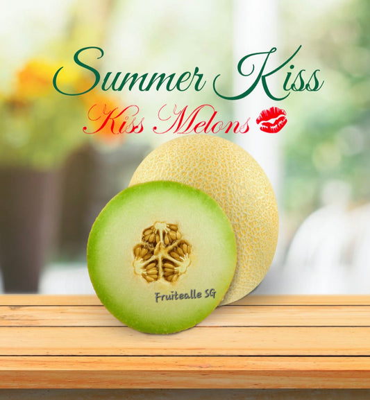Melon - USA Summer Kiss Melon