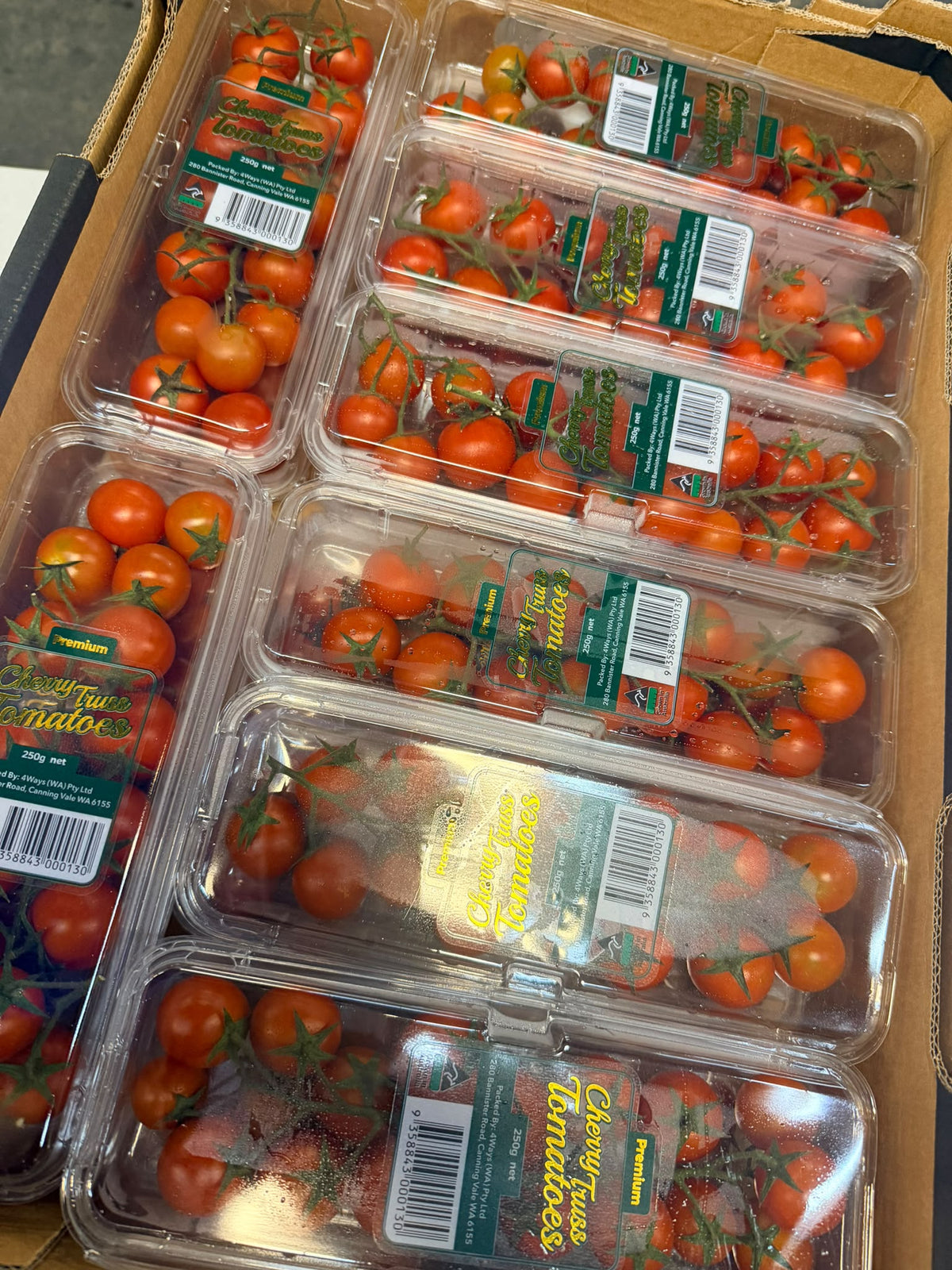 Tomato - Cherry Tomato on Vine | From Australia
