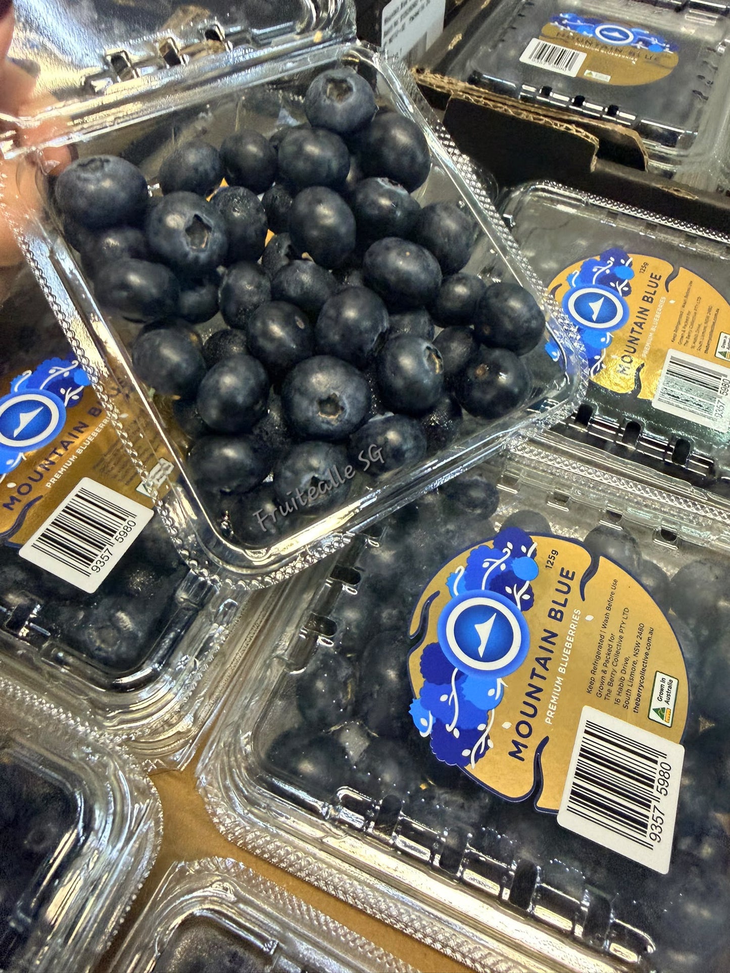 Blueberry  - Blueberry 125gm [Mountain Blue] | Australia Blueberries