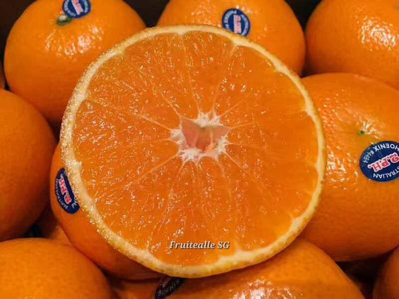 Oranges - Honey Murcott Mandarin Oranges (2PH Farms)