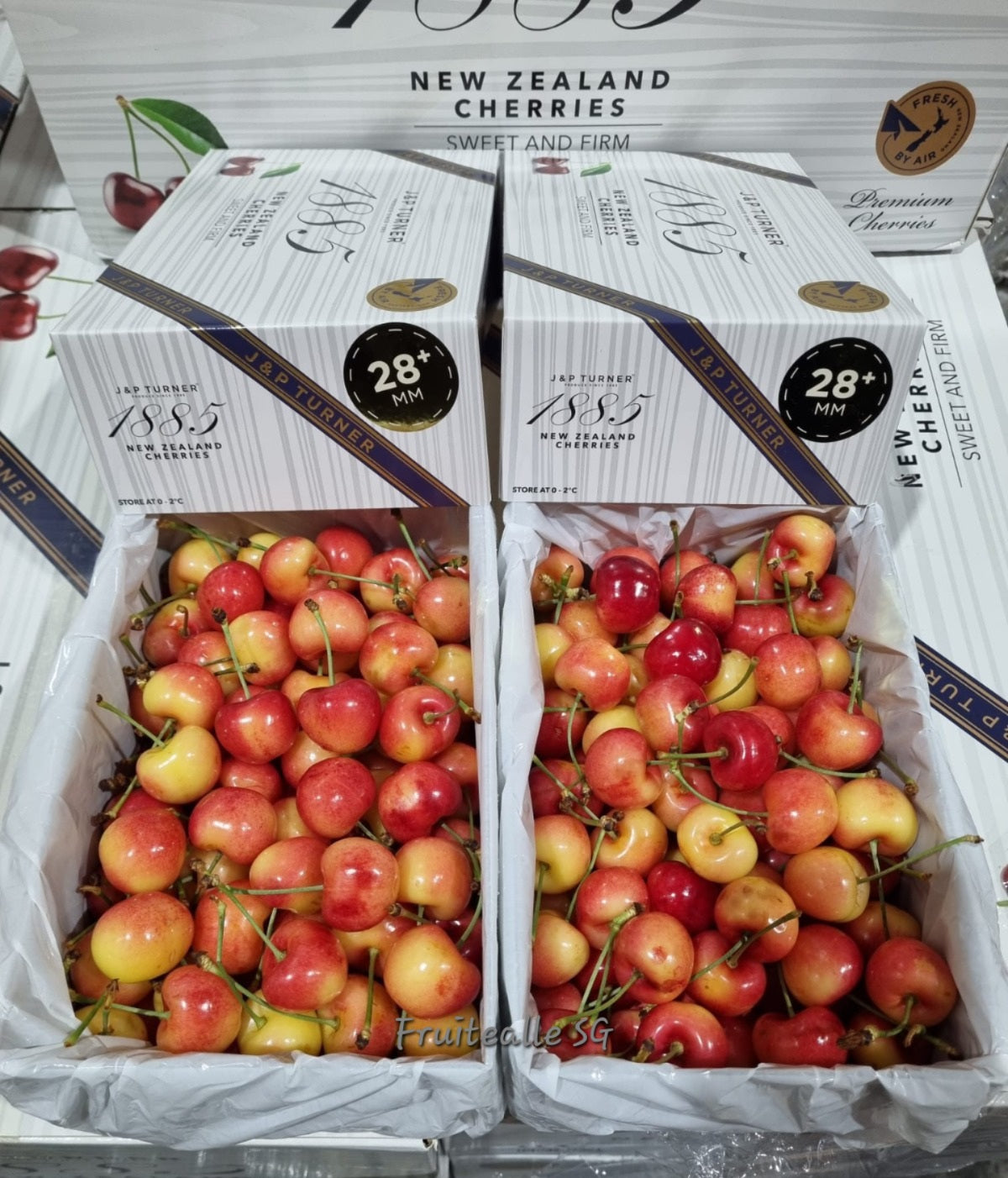 Cherry - New Zealand | Rainier White Cherries | 28mm